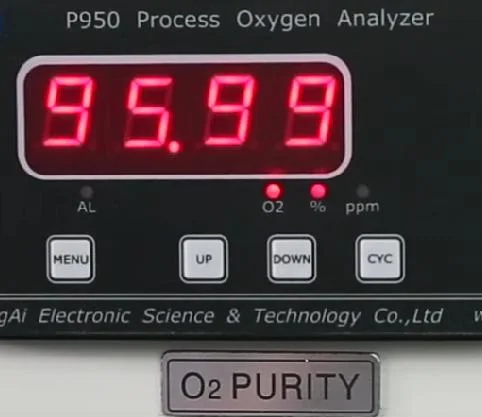 Psa Medical Oxygen Machine for Hospital