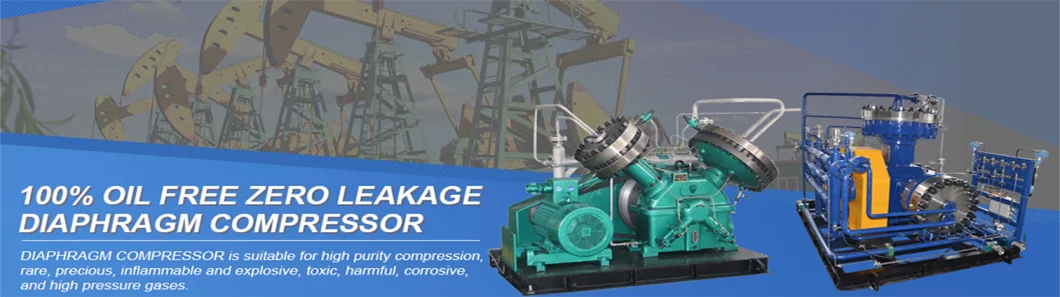 High Purity Oil Free Diaphragm Compressor Helium Oxygen Hydrogen Gas Compressor