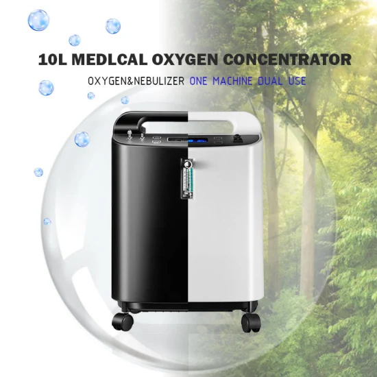 Concentratore di ossigeno portatile Scheda concentratore di ossigeno da 10 litri