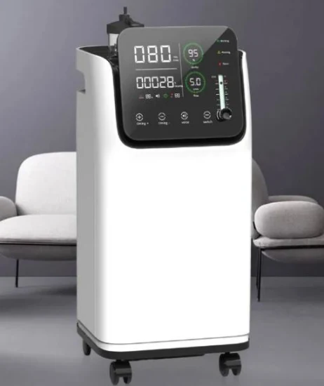 Concentratore di ossigeno medico Generatore di ossigeno Concentratore di ossigeno da 10 litri Cina